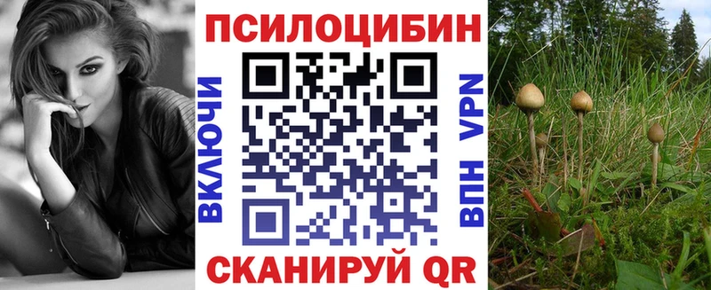 купить наркоту  Закаменск  Псилоцибиновые грибы MAGIC MUSHROOMS 